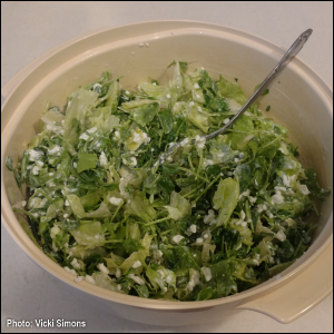 Salad made with lettuce, Speckled Pea microgreens, and cottage cheese. Photo by Vicki Simons.