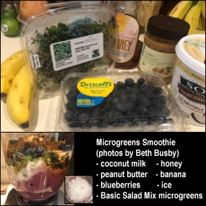 Microgreens smoothie made with coconut milk, peanut butter, honey, banana, blueberries, ice, and Basic Salad Mix microgreens. Photos by Beth Busby.