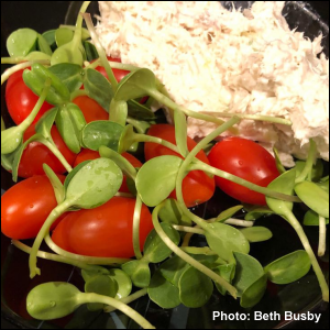 Chicken salad from Pat's Sub Shop with grape tomatoes and sunflower microgreens. Photo by Beth Busby.