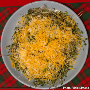 Salad with broccoli and spicy salad mix microgreens, topped with Colby Jack and Parmesan cheeses. Photo by Vicki Simons.