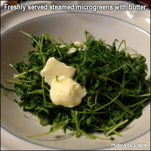 Freshly served steamed microgreens with butter. Photo by Vicki Simons.