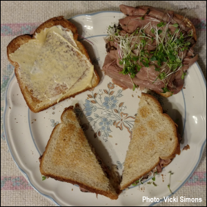 Roast beef on toasted wheat bread, with a mayonnaise/mustard mix and Mesclun microgreens.