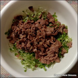 Roast beef on Lettuce microgreens.