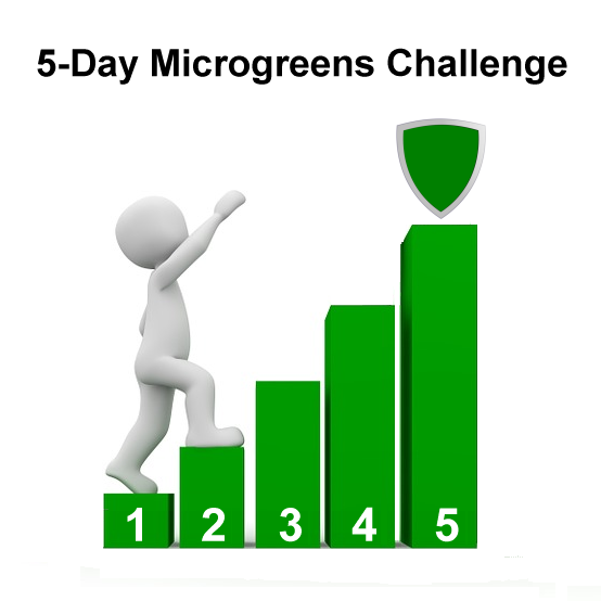 5-Day Microgreens Challenge